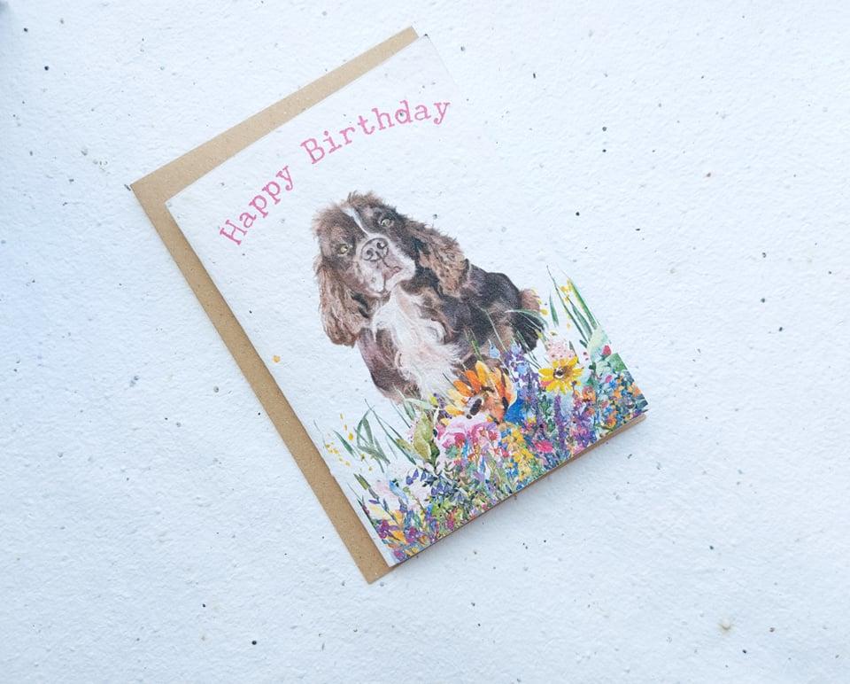 Special offer Eco Friendly Plantable Seed cards - Birthday set, 5 card set