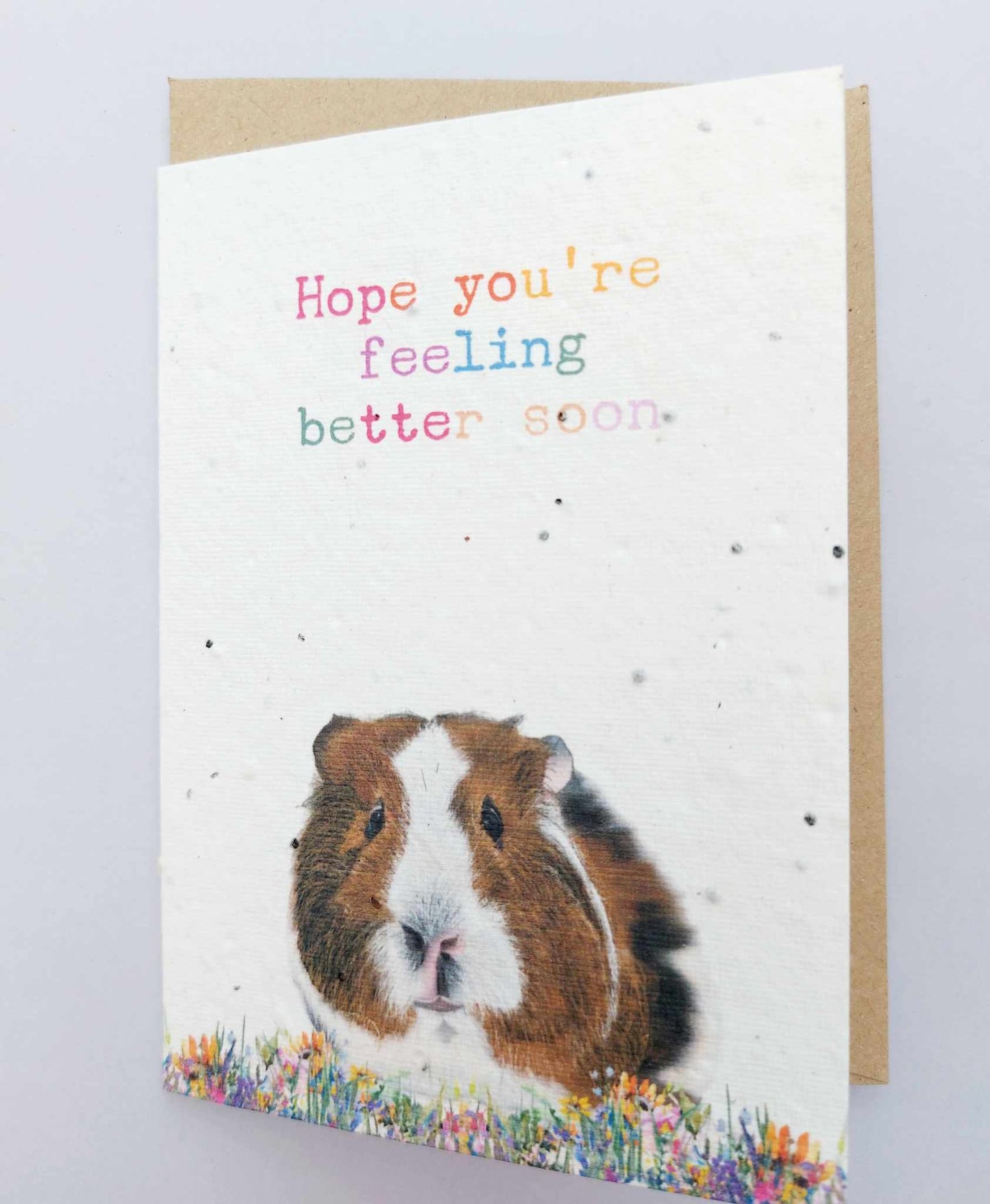 PLANTABLE Guinea pig Get well soon Seed Cards  - Eco and VEGAN friendly Wildflower cards - Seed paper cards  - Plantable get well soon cards