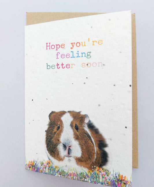 PLANTABLE Guinea pig Get well soon Seed Cards  - Eco and VEGAN friendly Wildflower cards - Seed paper cards  - Plantable get well soon cards