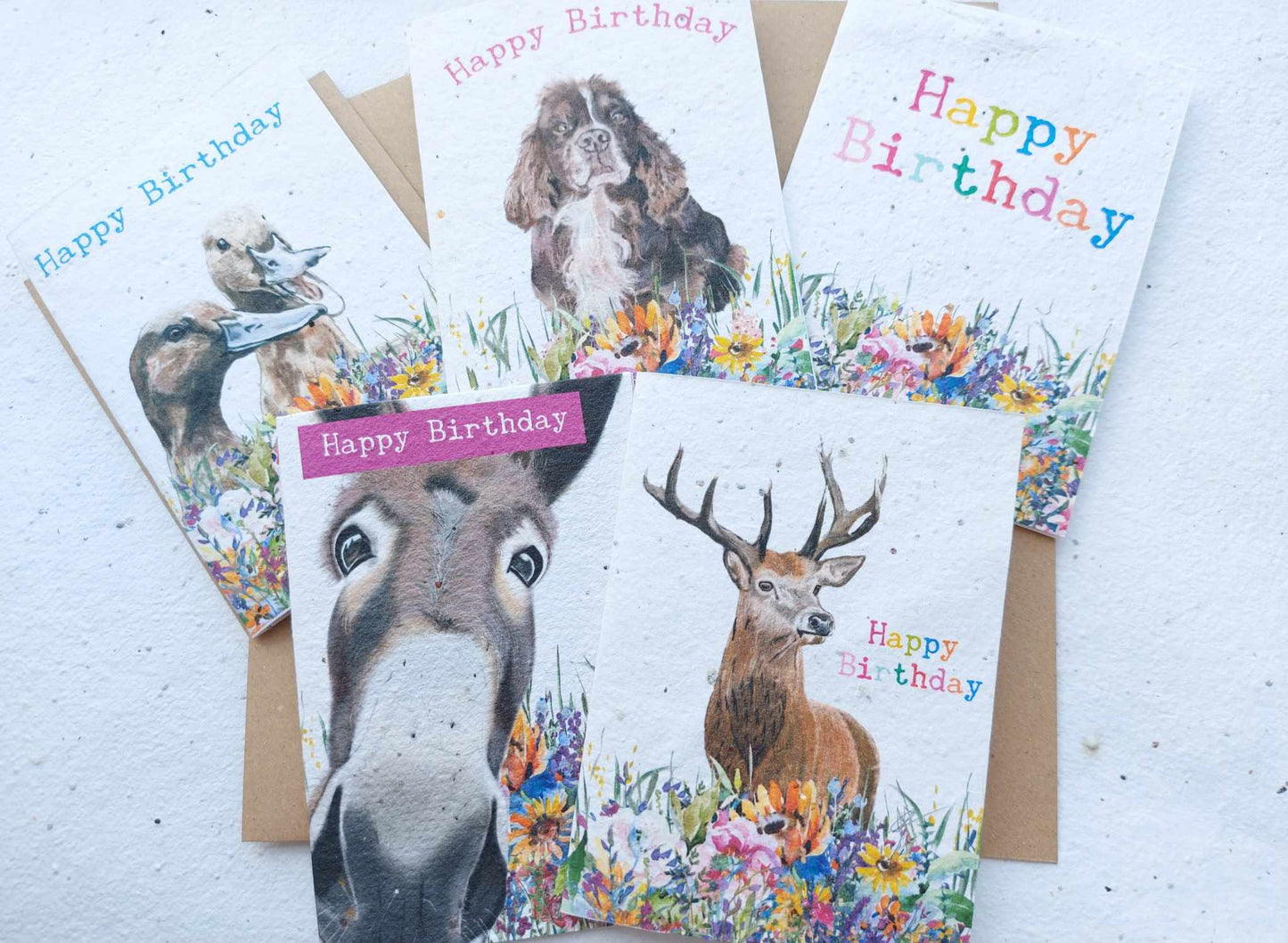 Special offer Eco Friendly Plantable Seed cards - Birthday set, 5 card set