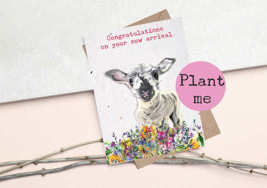 PLANTABLE  Seed Cards- Bee Cards - Wildflower cards - New Baby cards - Baby shower cards