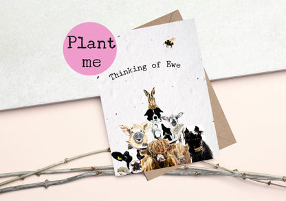 Thinking of you -PLANTABLE Sympathy/ Friendship card- flower Seed Cards- Bee Cards - Wildflower cards -Friendship card- Sympathy card