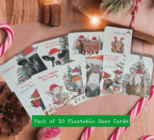 Christmas Plantable seed cards pack of 10 with envelopes - Eco friendly Christmas cards  - Flower seed Christmas cards- Pack of  10 farm themed  Christmas cards